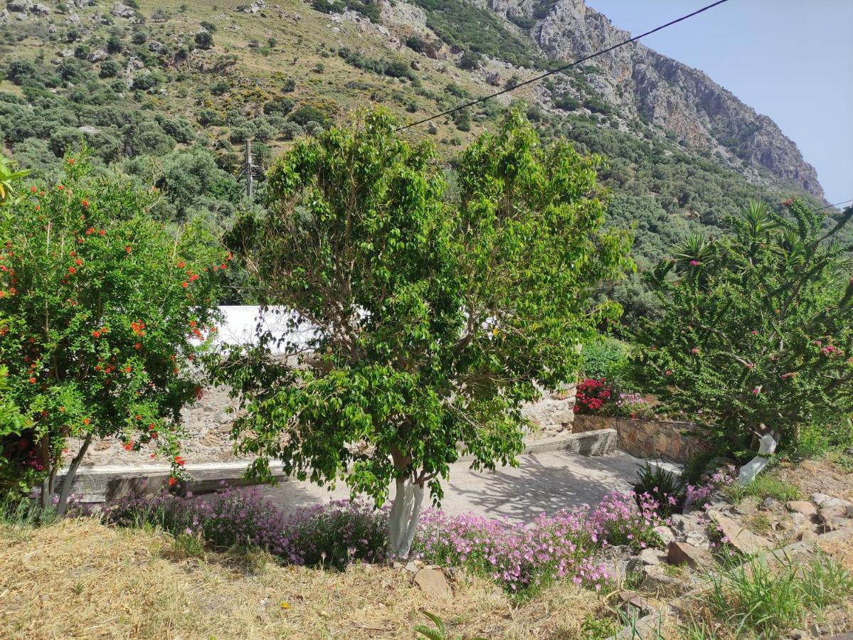 Olga'S Traditional Stone House, Palaiochora Kondokinigi Exterior foto